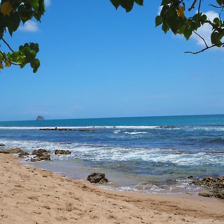 Holidays Guadeloupe Plessis-Nogent Eksteriør bilde